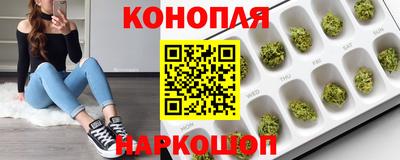 Альфа ПВП Моздок
